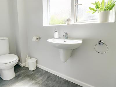 Picture 14